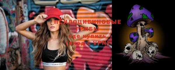 бошки Богданович
