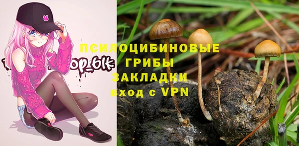марихуана Богородицк