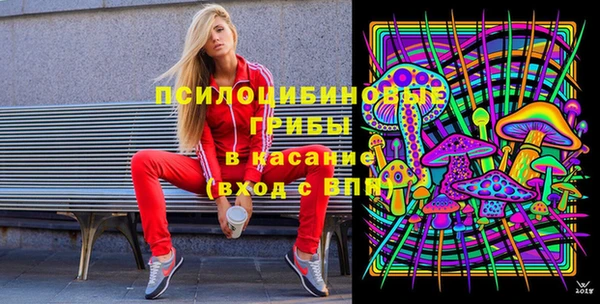бошки Богданович